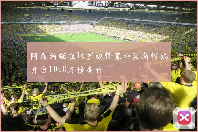 阿森纳瞄准16岁边锋蒙加莱斯特城开出1000万镑高价