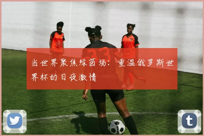 当世界聚焦绿茵场：重温俄罗斯世界杯的日夜激情