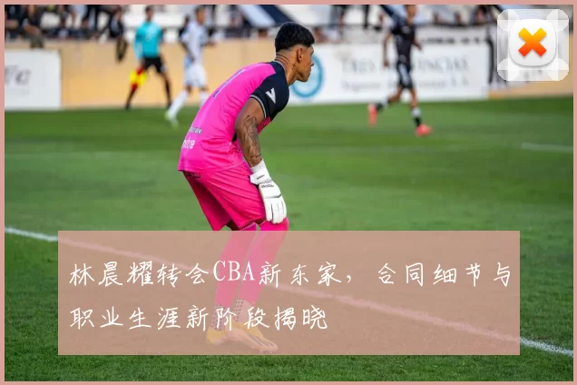 林晨耀转会CBA新东家,合同细节与职业生涯新阶段揭晓