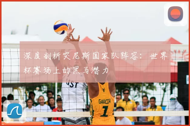 深度剖析突尼斯国家队阵容：世界杯赛场上的黑马潜力