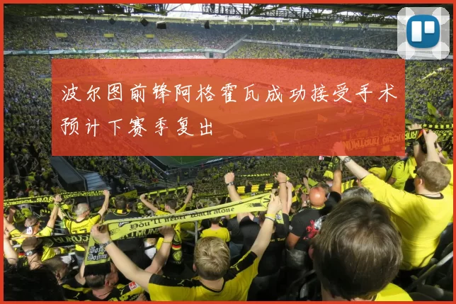 波尔图前锋阿格霍瓦成功接受手术预计下赛季复出