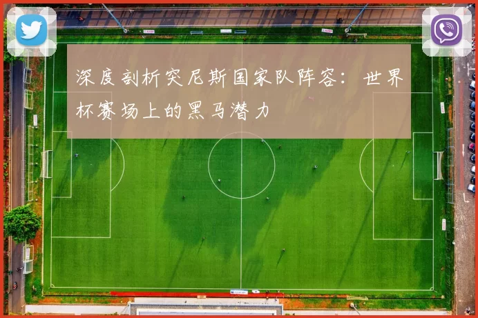 深度剖析突尼斯国家队阵容:世界杯赛场上的黑马潜力