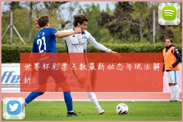 世界杯彩票点数最新动态与玩法解析