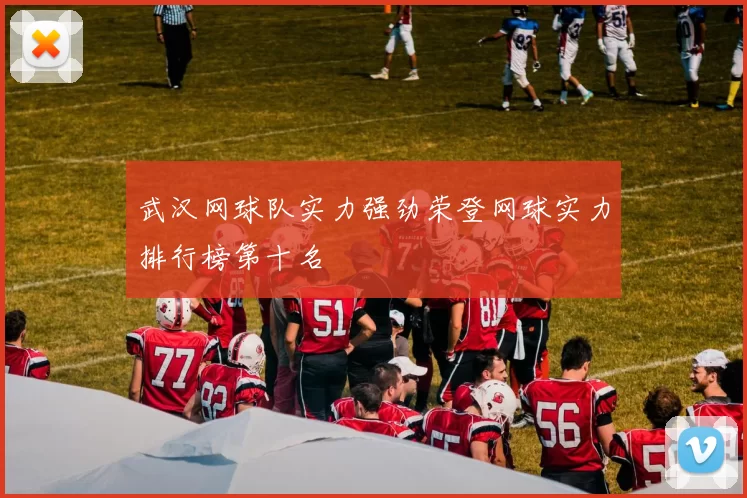武汉网球队实力强劲荣登网球实力排行榜第十名