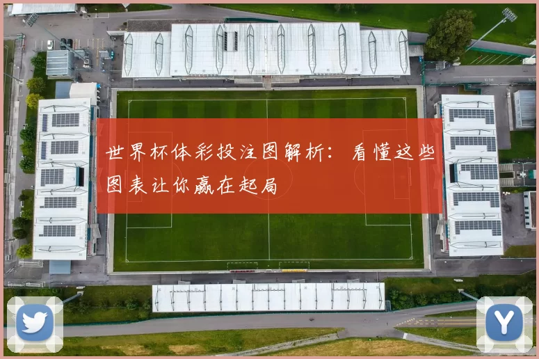 世界杯体彩投注图解析：看懂这些图表让你赢在起局